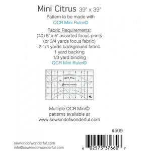 Mini Citrus Wall Hanging Pattern image # 82716